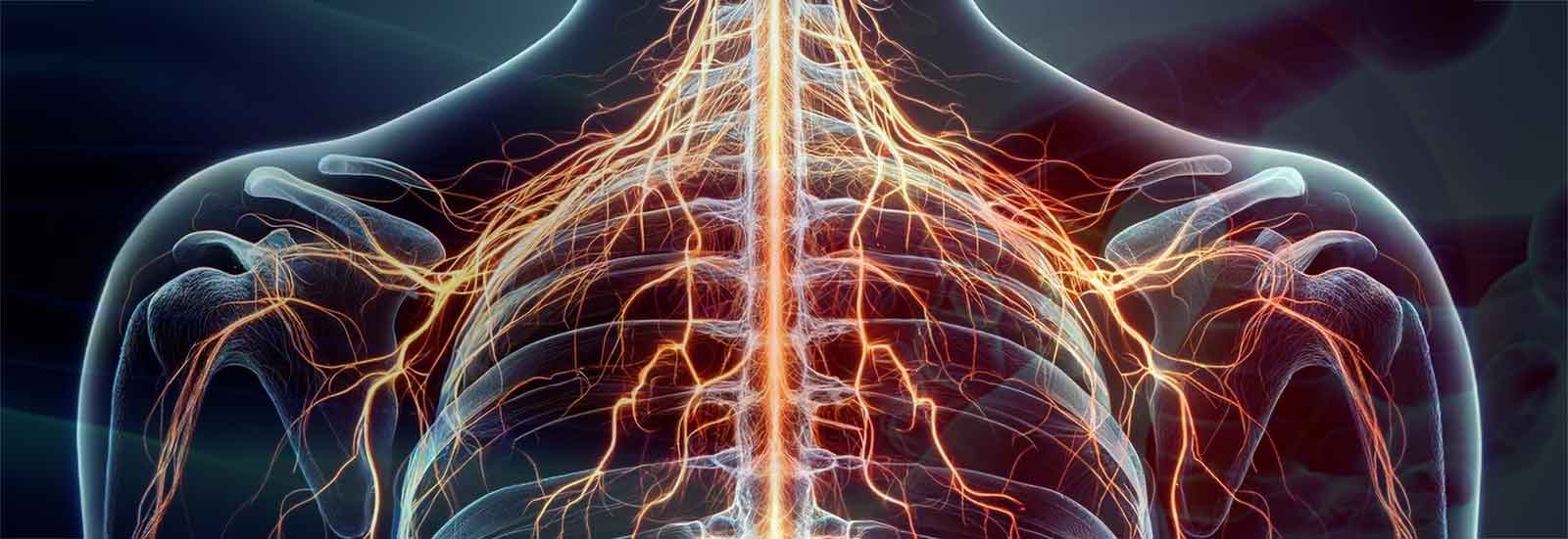 How to Tell if It's a Pinched Nerve or Pulled Muscle: Symptoms, Diagnosis, and Treatment